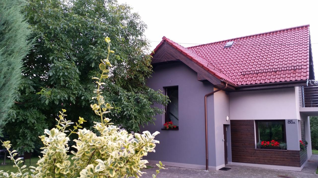 Rezerwat85 — Zdjęcia 2